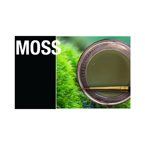 Miyo Moss.png